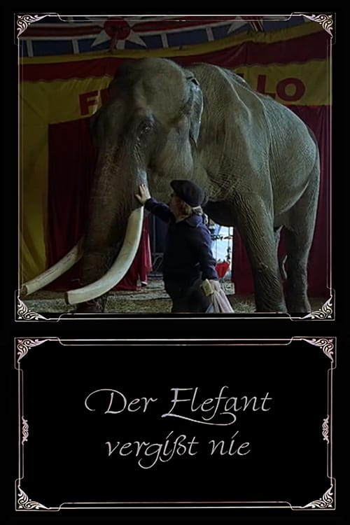 постер Слоны помнят всё 